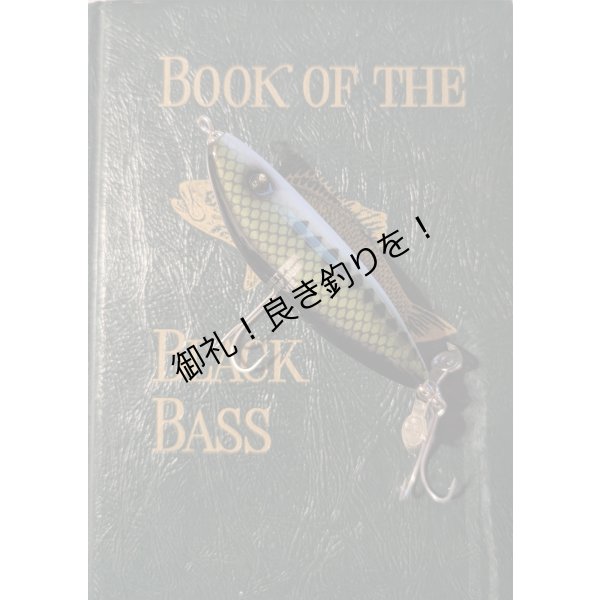 画像2: quiet funk   SURF BUM VIE