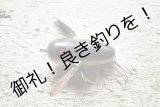 画像: HEDDON   CRAZY  CRAWLER　的目