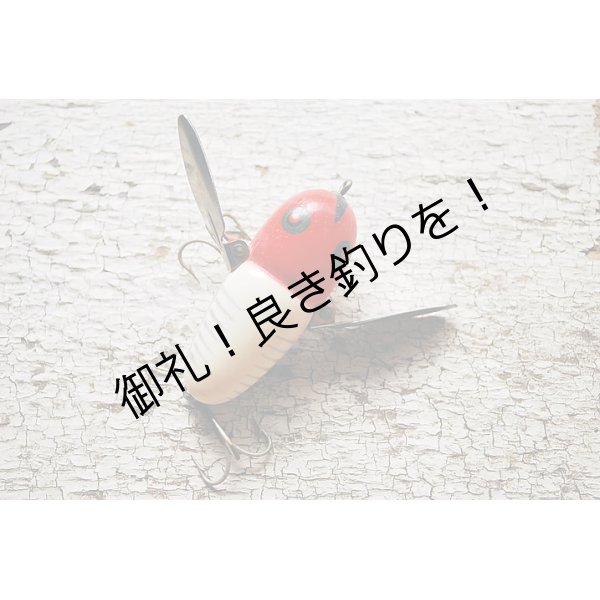 画像3: HEDDON   CRAZY  CRAWLER　的目 (3)