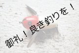 画像: HEDDON   CRAZY  CRAWLER　的目