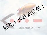 画像: 「VICTORY＝LIVE AND LET LIVE」 ラグラン 3/4スリーブ Tee