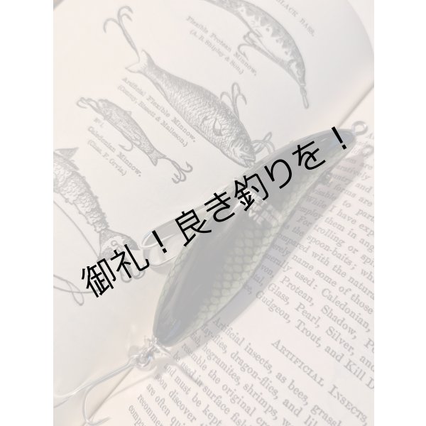 画像4: quiet funk   SURF BUM VIE (4)