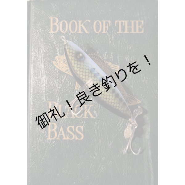 画像2: quiet funk   SURF BUM VIE (2)